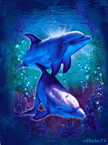 Dolphin Cute GIF