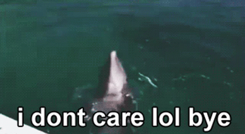 Dolphin Ocean GIF