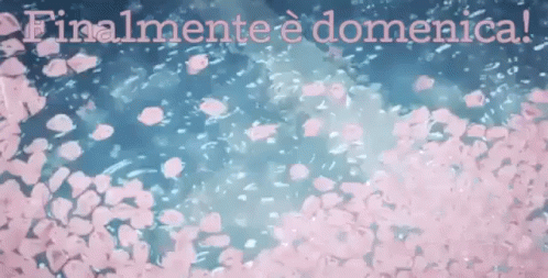 Domenica Buona Domenica Felice Domenica Passa Una Buona Domenica Finalmente è Domenica GIF