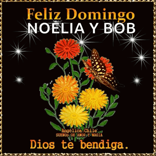 Domingo Sunday GIF