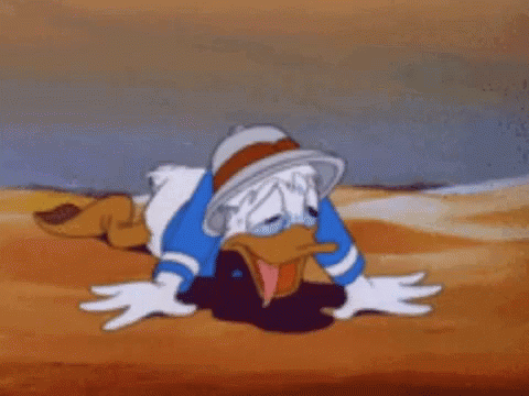 Donald Duck Heat GIF