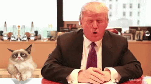 Donald Trump And Cat GIF. This 498 x 278 animated GIF is part of our lady and the tramp siamese cats collection. Related themes include funny. View the…