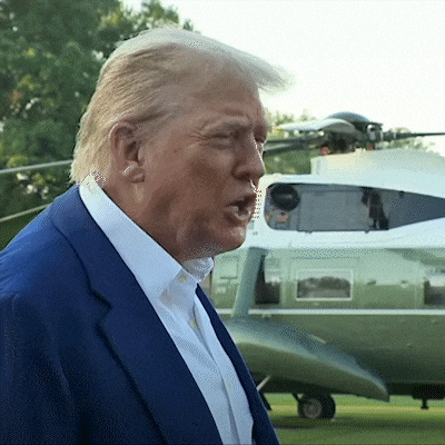 Donald Trump Angry Trump GIF