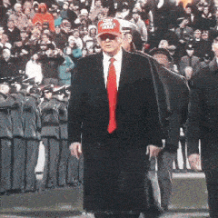Donald Trump Donald Trump Dance GIF