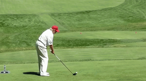 Donald Trump Golfing GIF