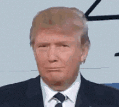 Donald Trump Huh GIF