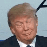 Donald Trump GIF