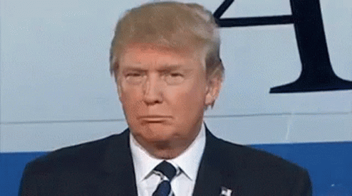 Donald Trump Make Face GIF