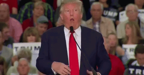 Donald Trump Mock GIF