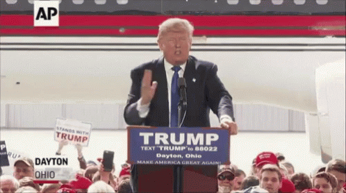 Donald Trump Scared GIF. This 498 x 278 animated GIF is part of our hulk trump collection. Related themes include scared, surprised. View the original…