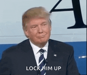 Donald Trump Smile GIF