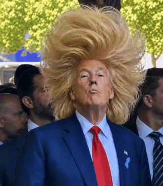 Donald Trump Thumbs Up GIF