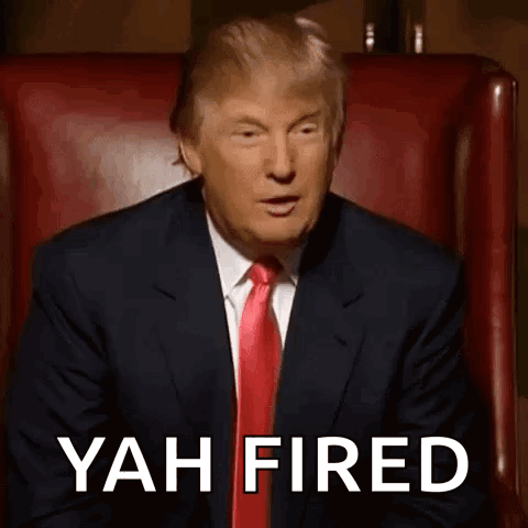 Donald Trump Trump 2024 GIF