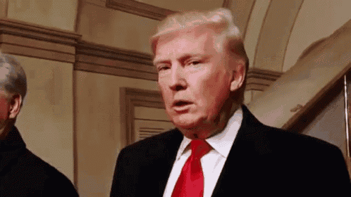 Donald Trump Trump GIF
