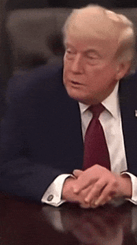 Donald Trump Trump Supporters GIF