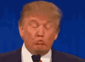 Donald Trump GIF