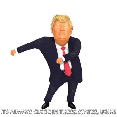 Donald Trump Winning GIF