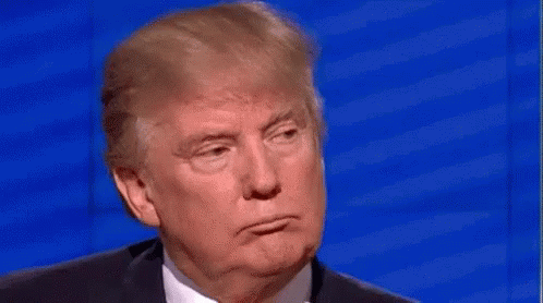 Donald Trump Yes GIF