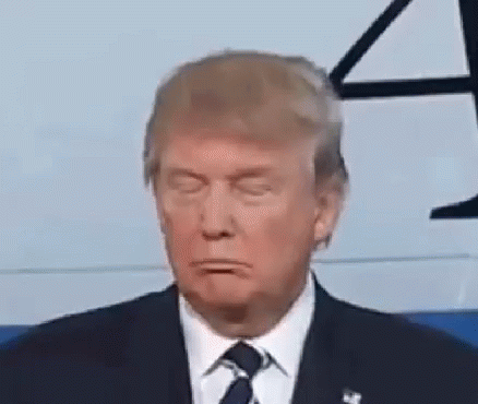 Donald Trump Yes GIF