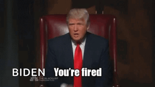 Donald Trump Youre Fired GIF
