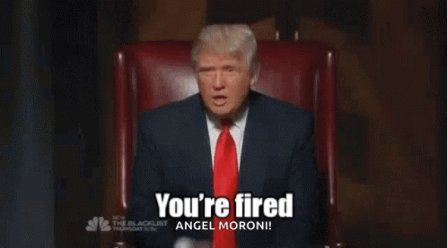 Donald Trump Youre Fired GIF