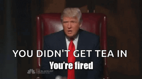 Donald Trump Youre Fired GIF