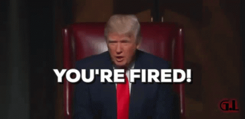 Donald Trump Youre Fired GIF
