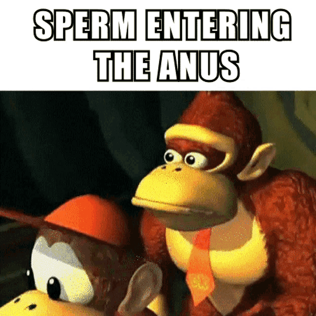 Donkey Kong Dk GIF