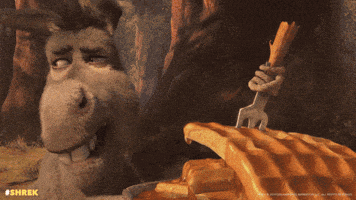 Donkey Shrek GIF