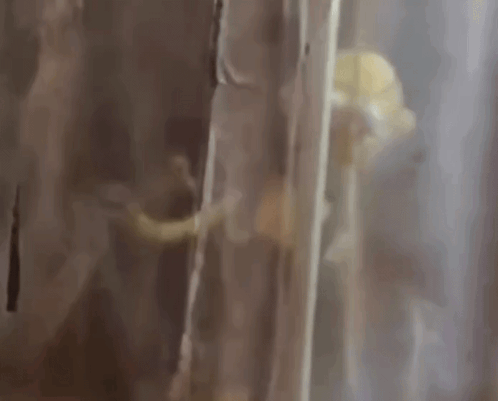 Don'T Hug Me I’m Scared Dhmis GIF