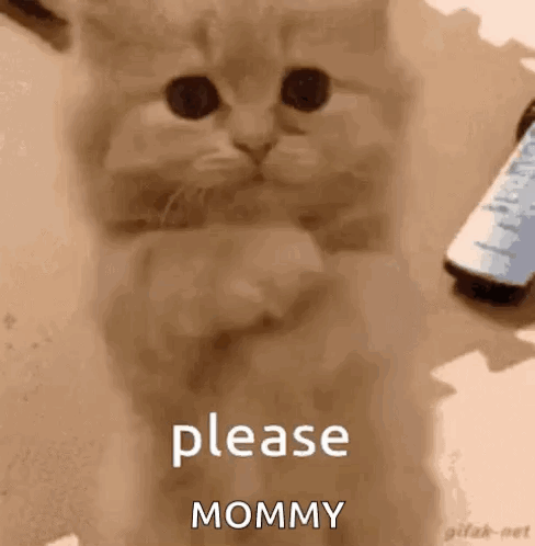 Don’t Make Me Beg GIF