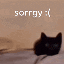 Dont Say GIF. This 220 x 220 animated GIF is part of our sorry collection. Related themes include black, cat. Created by Dreygon. View the original…
