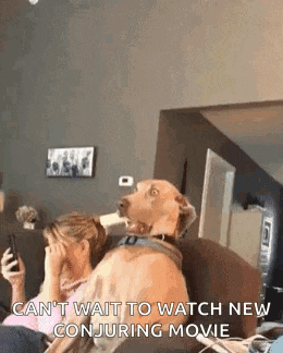 Dontlooknow It Wasnt Me GIF