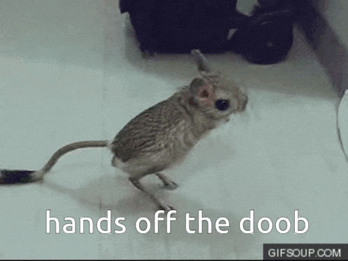 Doob Dooby GIF