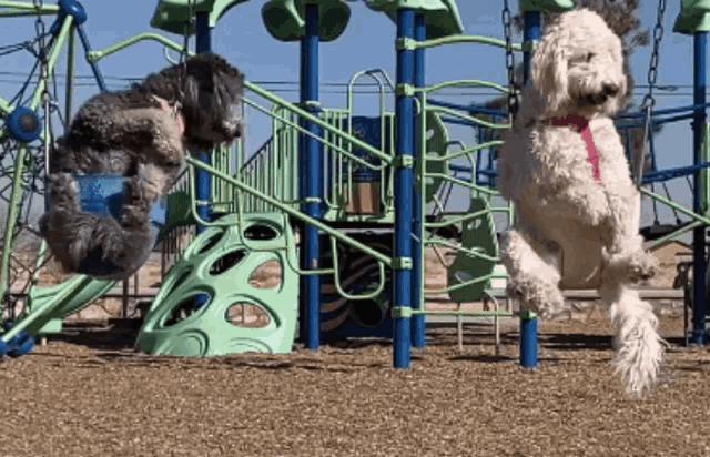 Doodle Swing Doodles GIF