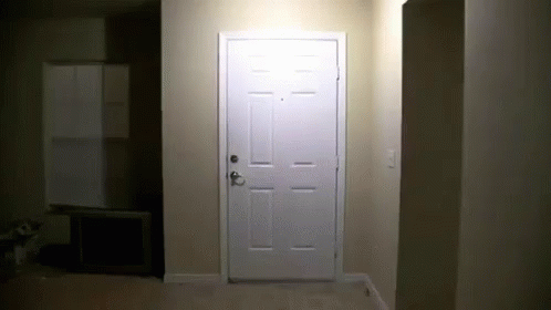 Door Kick GIF