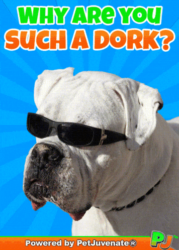Dork Why Are U Pj Funny Dog Gif Petjuvenate Ohh GIF