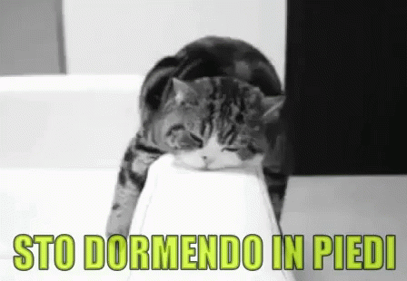 Dormendo In Piedi Dormire In Piedi Dormo In Piedi Stanco Stanca Stanchezza Esausto Esausta GIF
