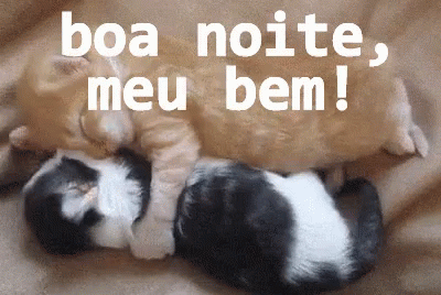 Dormircontigo Gifromantico Meuamor Boanoite Casal GIF