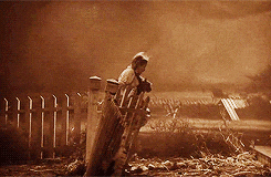 Dorothy GIF. This 245 x 160 animated GIF is part of our tornado collection. Created by SusieFioret. View the original animation, share it, or browse related…