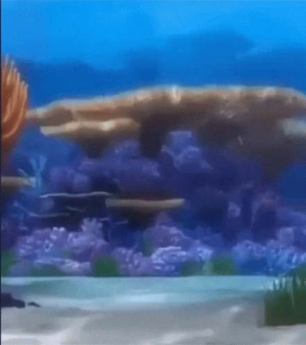 Dory Blue Fish GIF. This 441 x 498 animated GIF is part of our moving backgrounds collection. Created by seobln. View the original animation, share it, or…