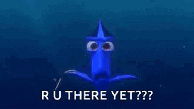 Dory Finding Dory GIF