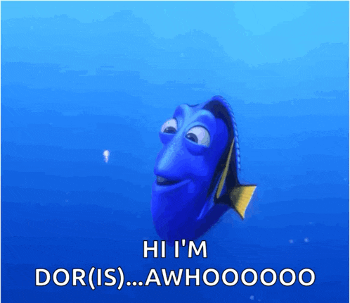 Dory Squishy GIF