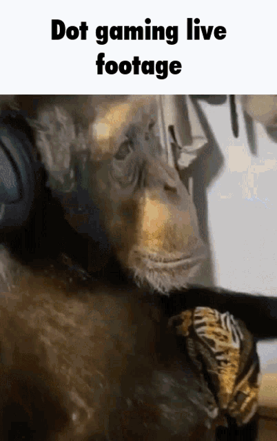 Dot Dot Gaming Live Footage GIF