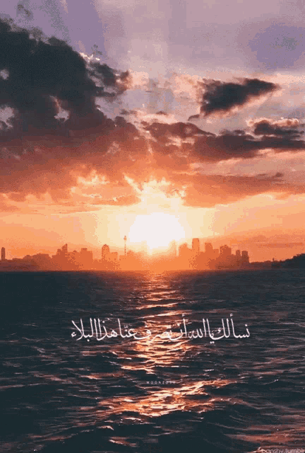 Douaa Sun GIF
