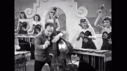 Double Jazz Bass Vintage GIF