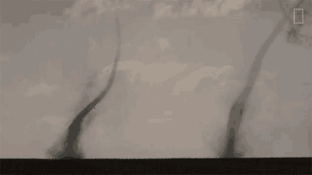 Double Tornadoes World Meteorological Day GIF