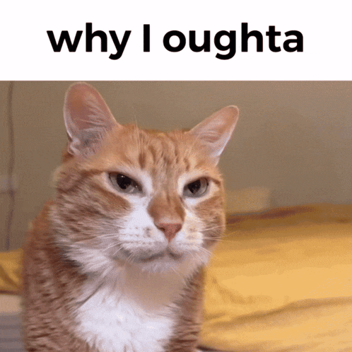 Doudou Why I Oughta GIF