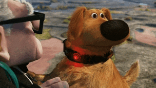 Doug Squirrel Meme