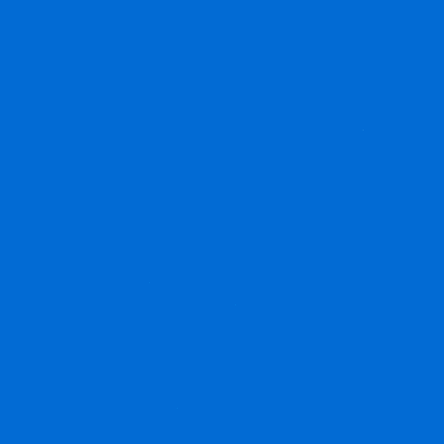 Dove Bird GIF